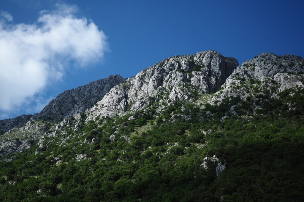 I Parchi Naturali Nazionali della Basilicata: Un’esperienza naturalistica da non perdere