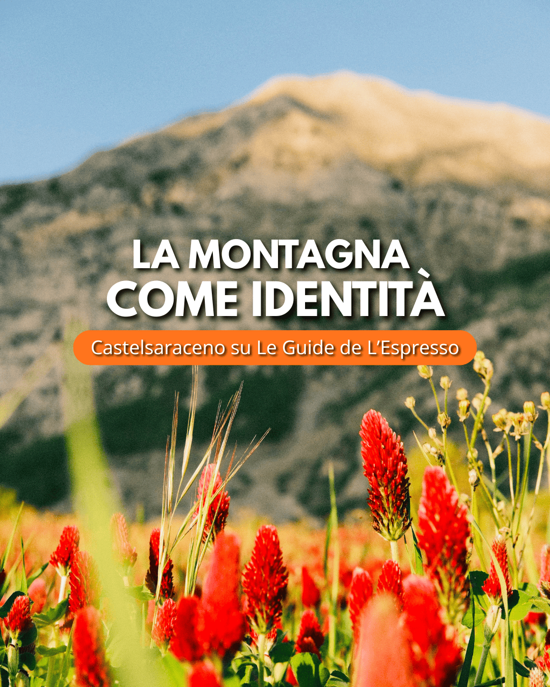 CASTELSARACENO SU LE GUIDE DE L’ESPRESSO