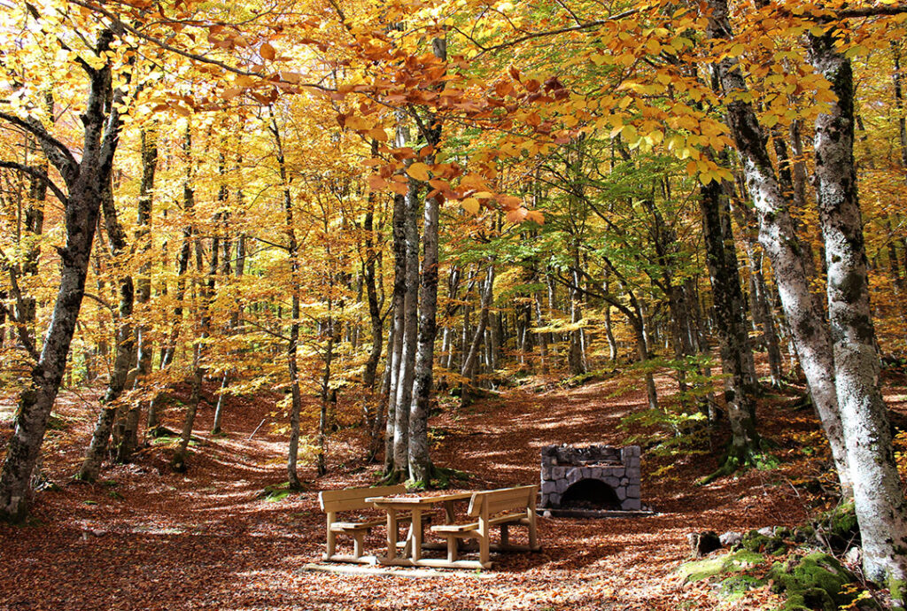 Autunno sul Pollino, il magico regno di castagne, funghi e tartufi 4 Autunno sul Pollino, il magico regno di castagne, funghi e tartufi