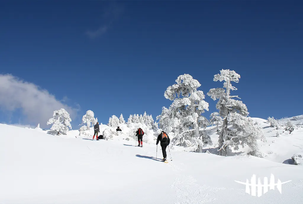 Snow-capped peaks and uncontaminated forests: Basilicata in winter is waiting to be discovered.