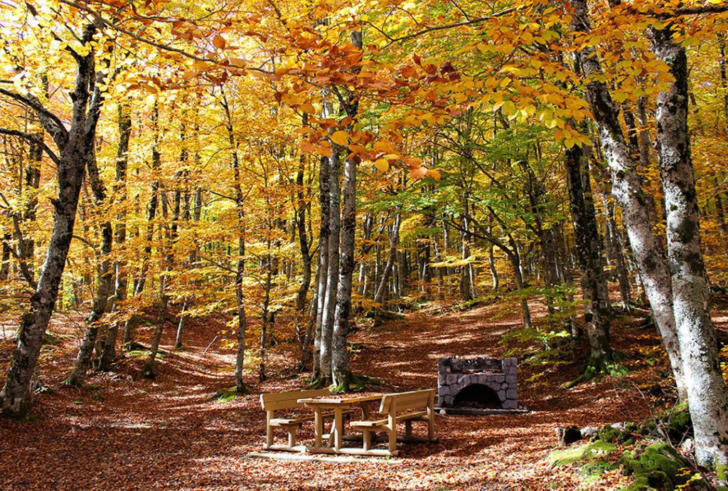 Foliage, esperienze e attività per vivere i colori dell’autunno