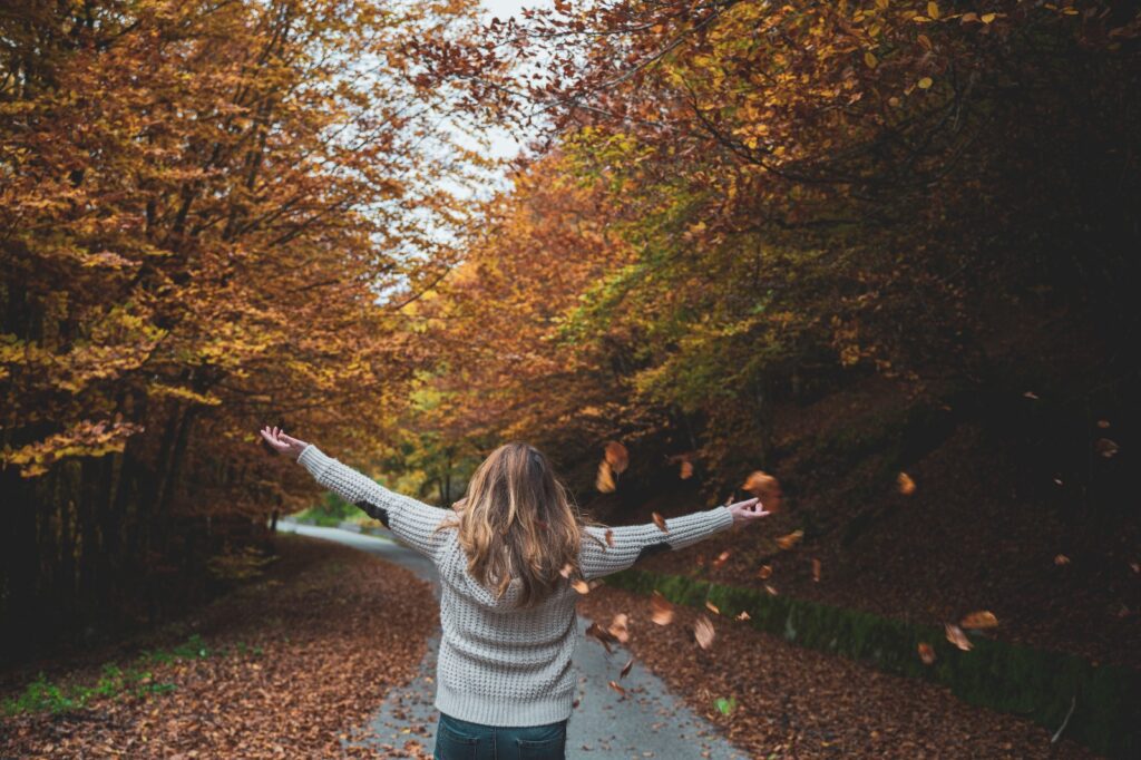 Autunno in Basilicata, tra escursioni, e-bike e passeggiate nel foliage 4 autunno in basilicata foliage nel bosco