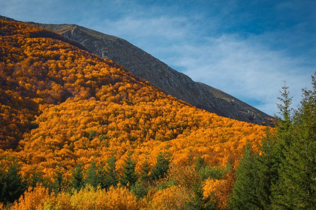 il foliage del monte alpi in autunno