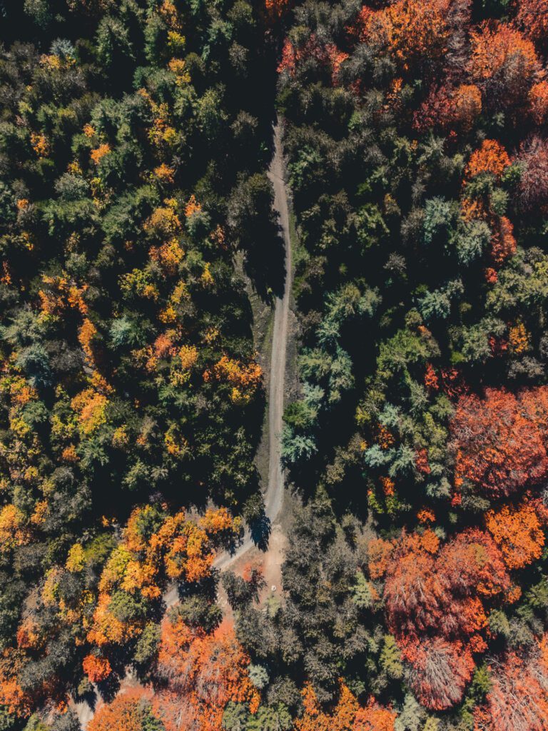 Benvenuto Autunno! Scopri le attività da non perdere a Castelsaraceno in Basilicata.