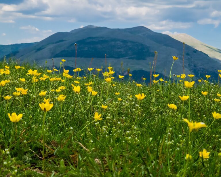 Il Monte Raparo, tra i colori della primavera