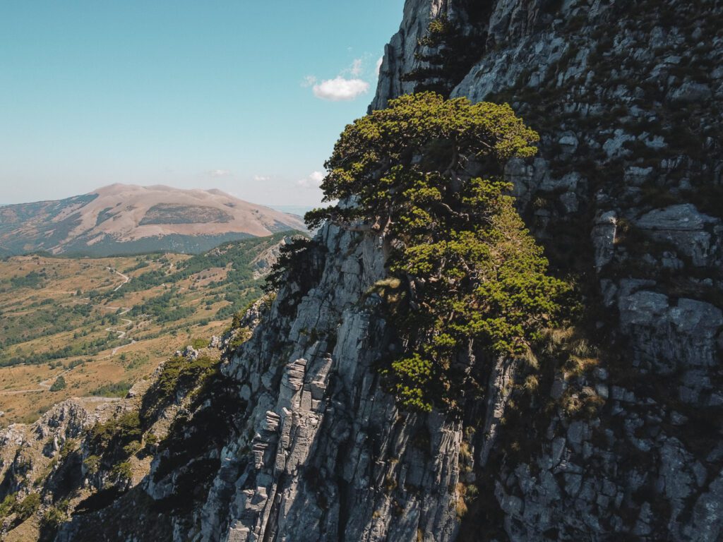 Il Pollino: un tesoro naturalistico nel cuore della Basilicata